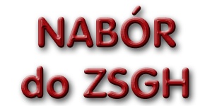 Nab贸r do ZSGH